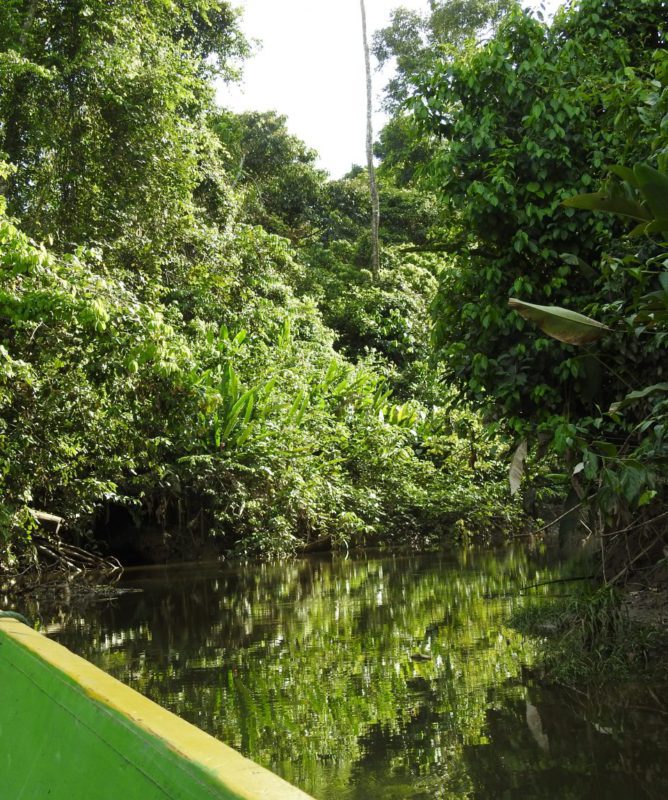 Yasuni rainforest by canoe