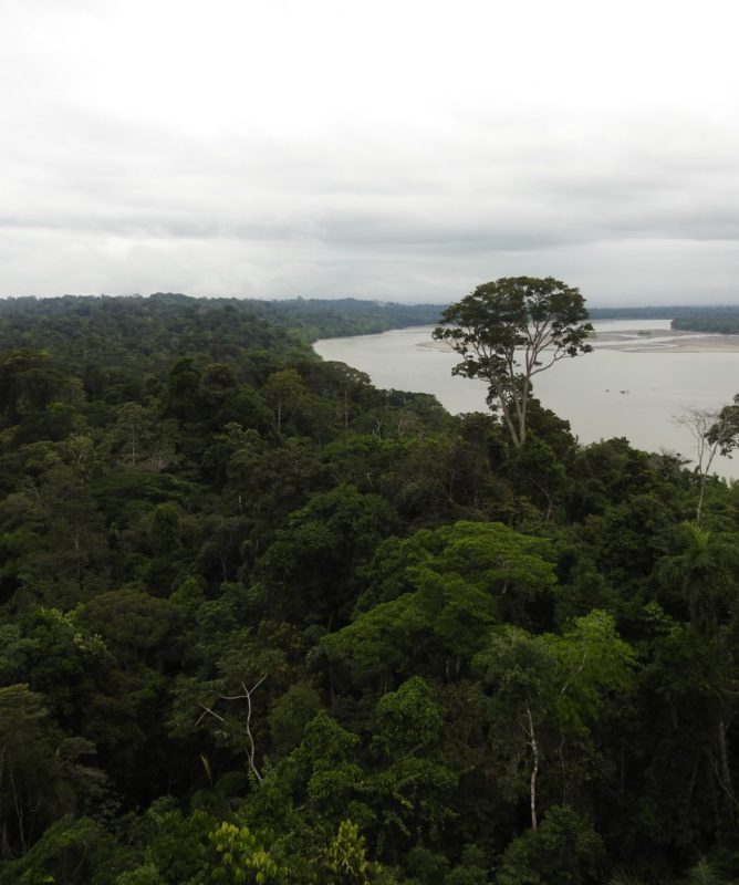 amazon rainforest | Ecuador