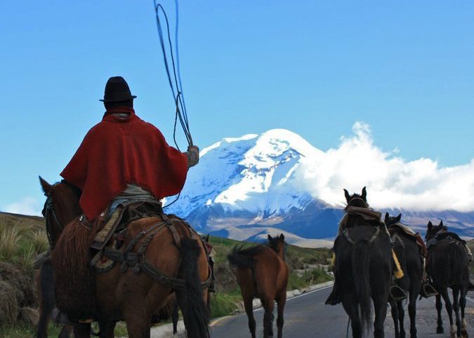 an indigenous guide corrals the horses on a country rode towards Chimborazo