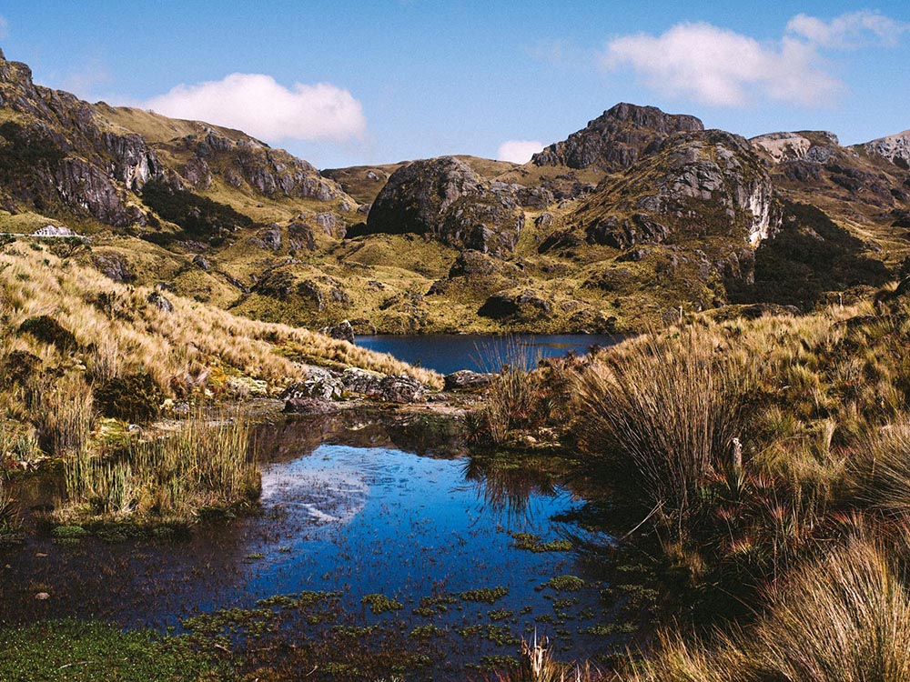 Cuenca and Cajas National Park 2 cajas national park | Ecuador